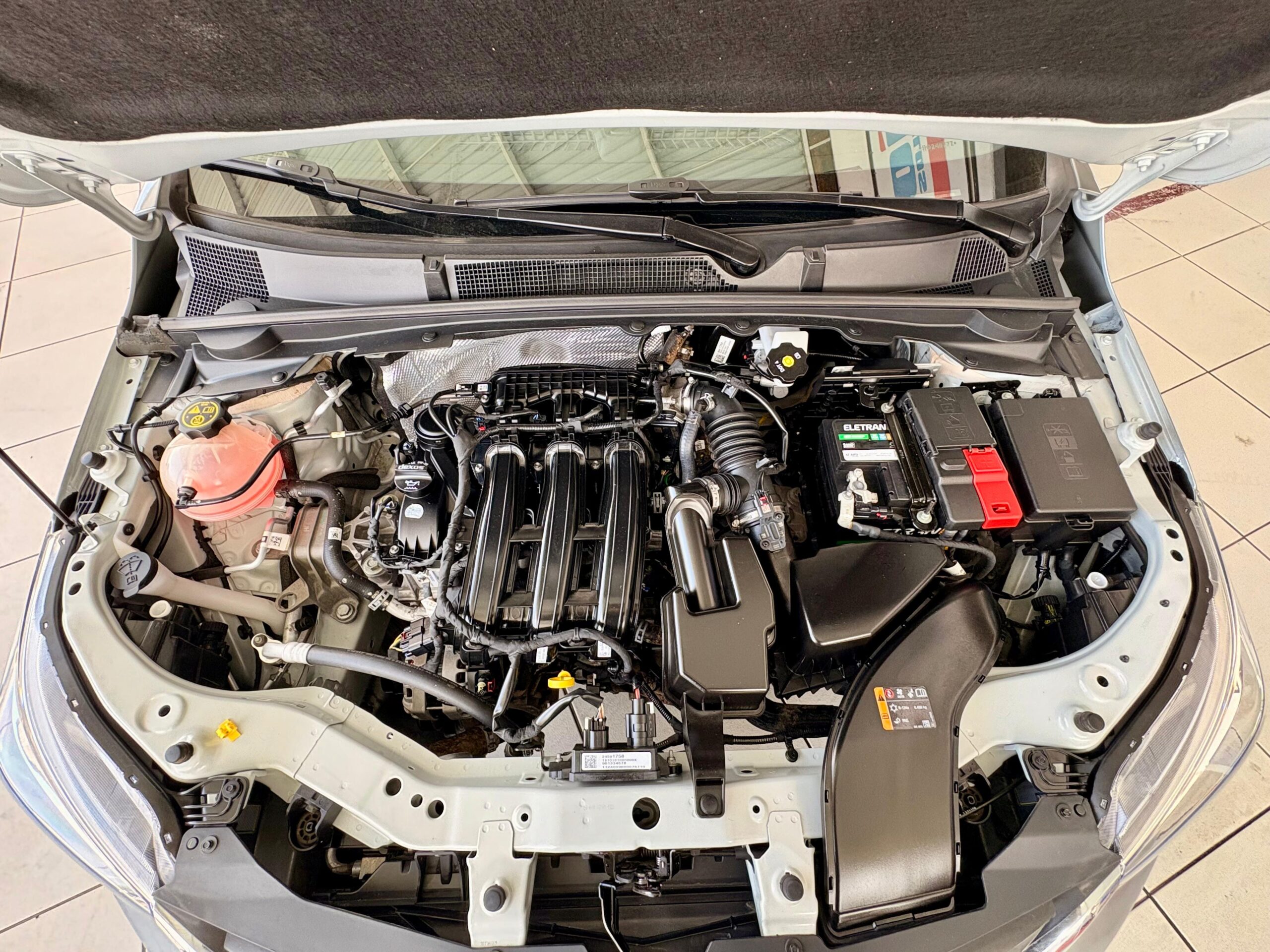 WhatsApp Image 2026-01-21 at 12.19.11